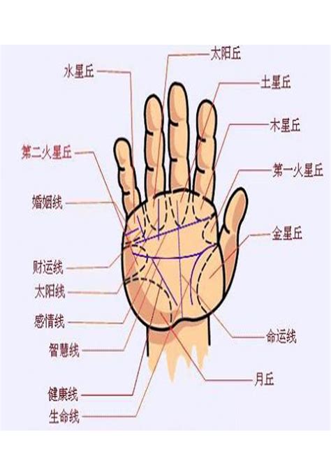 男手相分析|手相图解大全